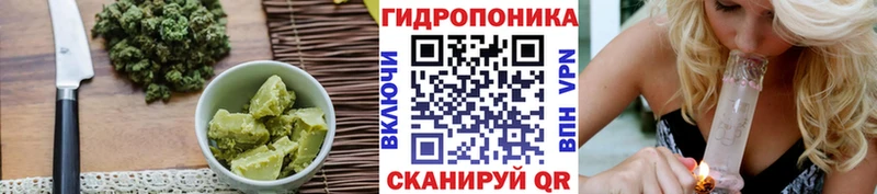 blacksprut зеркало  что такое   Оренбург  Печенье с ТГК конопля 