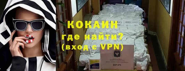твердый Богородицк