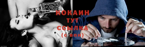 твердый Богородицк
