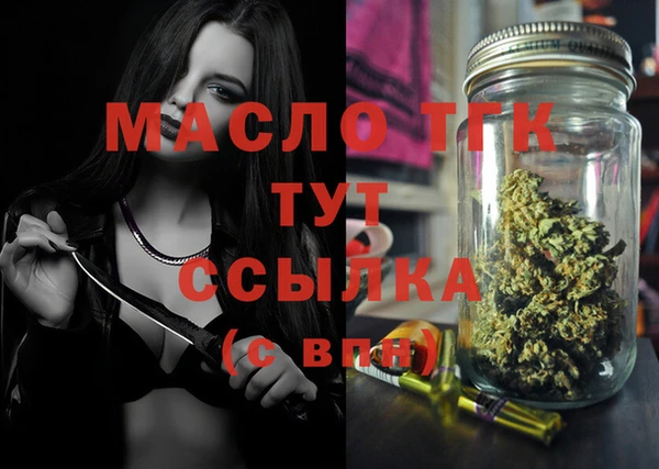 твердый Богородицк