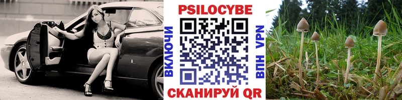 как найти закладки  Оренбург  Галлюциногенные грибы мицелий 